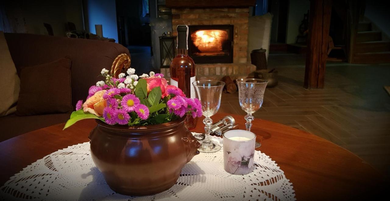 Vila Wilcza Gajowka Sosnówka Exteriér fotografie